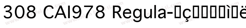 308 CAI978 Regula字体转换